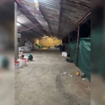 detienen-a-dos-mexicanos-en-sudafrica-tras-allanamiento-a-narcolaboratorio_5b892efe-efea-4497-a617-b49aa641fd22_medialjnimgndimagefullsize