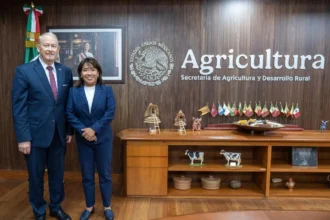 sader-celebra-la-reanudacion-de-la-exportacion-de-aguacate-a-estados-unidos_6a0482ff-945c-4957-93fc-f415a8d05289_medialjnimgndimagefullsize